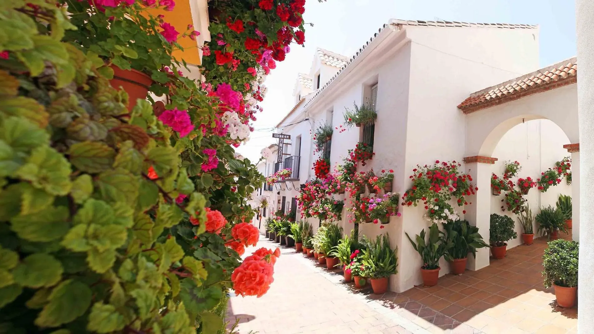 לינה וארוחת בוקר בנאלמדנה I Am La Posada Hotel And Apartment