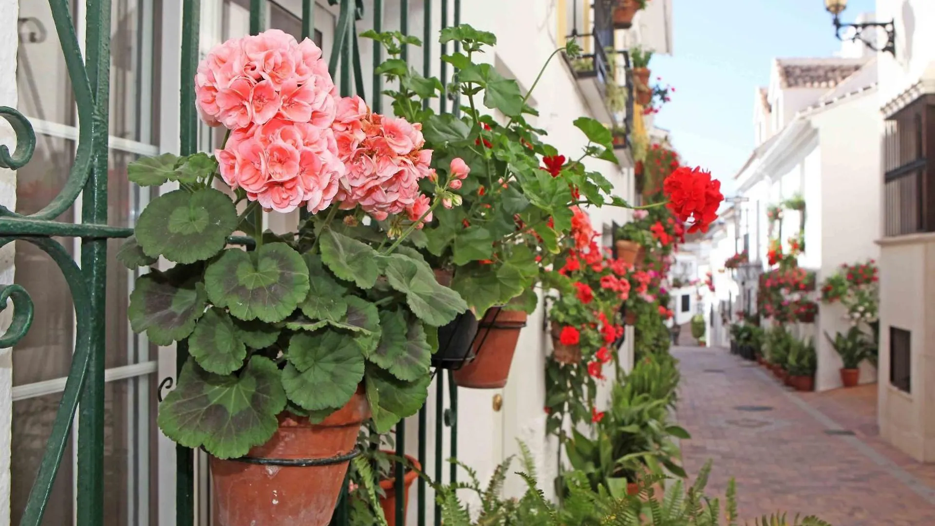 Bed & Breakfast I Am La Posada Hotel And Apartment Benalmádena